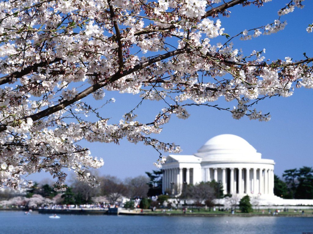 Jefferson_Memorial_Washington_DC