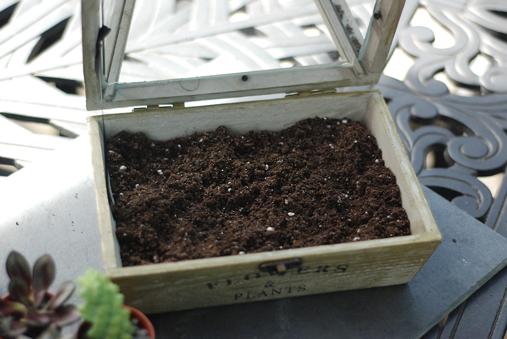 Made my grandma a fake terrarium for her bday because her apt is in the  basement and doesn't get enough light for a real one : r/terrariums