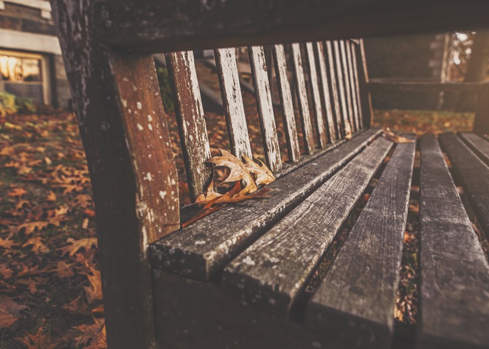 wood-bench-park-autumn