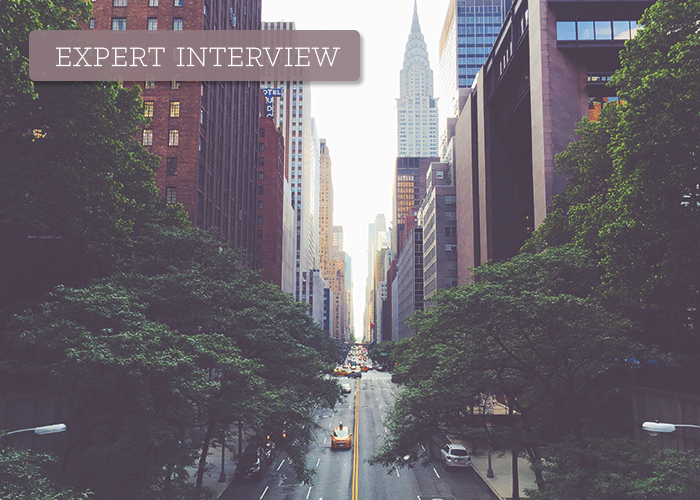 expert-interview-NYC