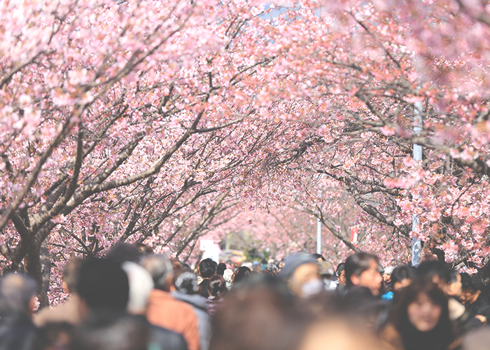 crowd-of-people