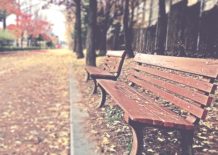 bench