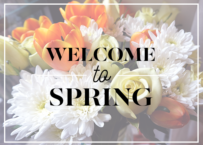 welcome-to-spring-title-card