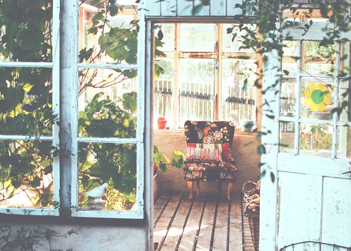 chair-in-greenhouse