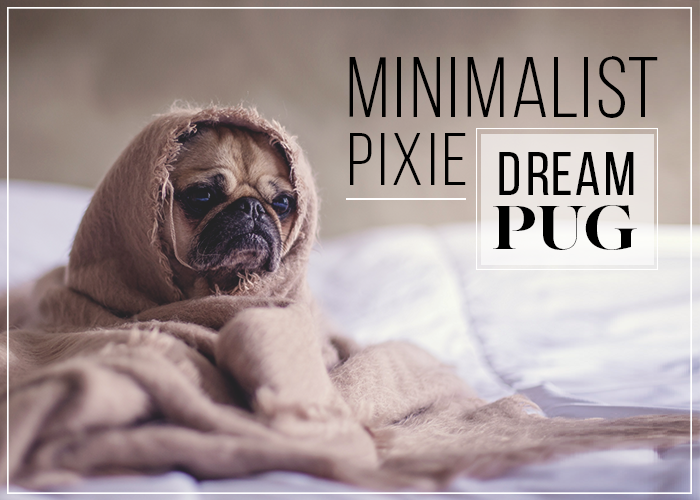 minimal-pixie-dream-pug