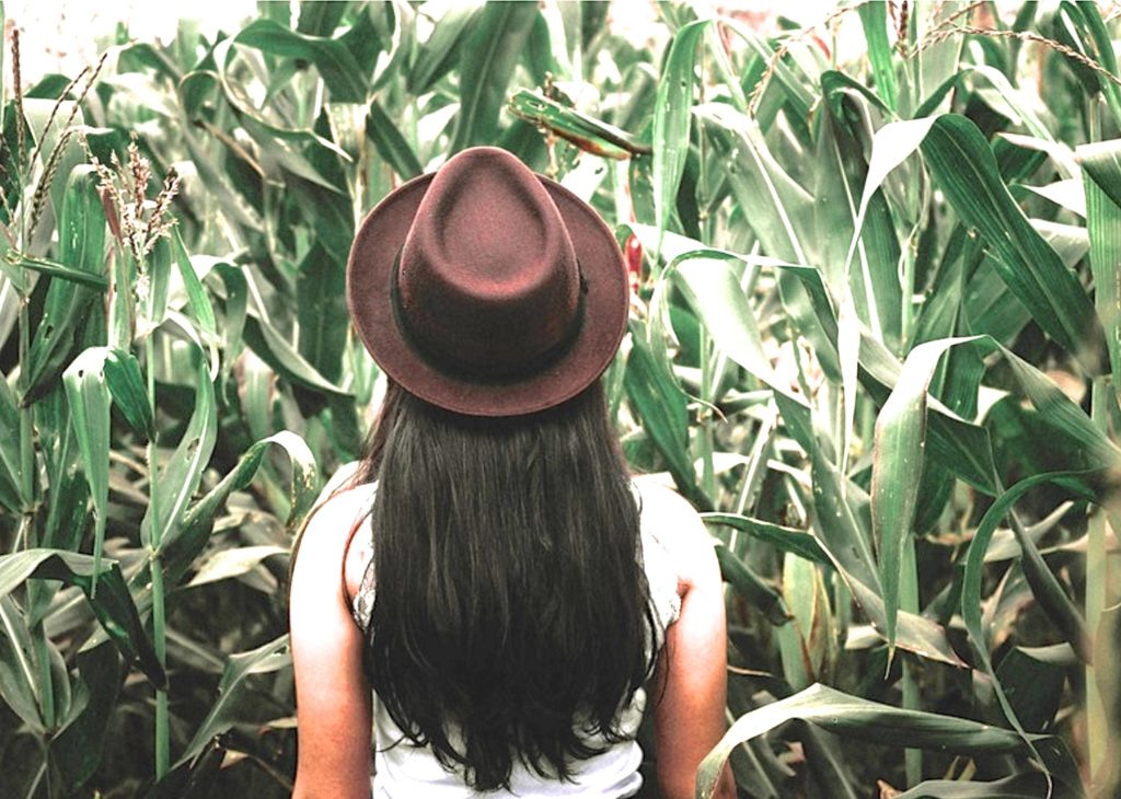 girl in cornfield