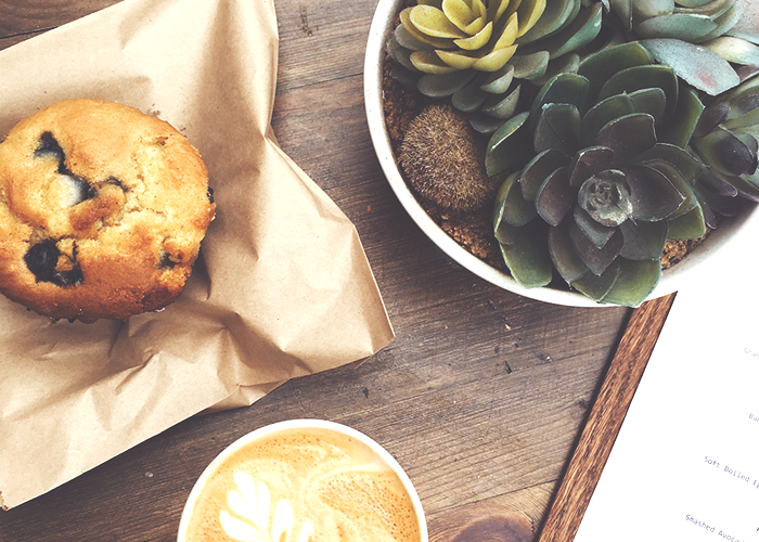 coffee-muffin-and-plant-on-table