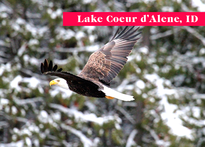 lake coeur d'alene