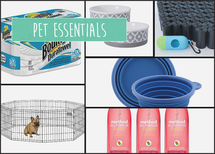 Best Puppy Supplies for New Dog Owners