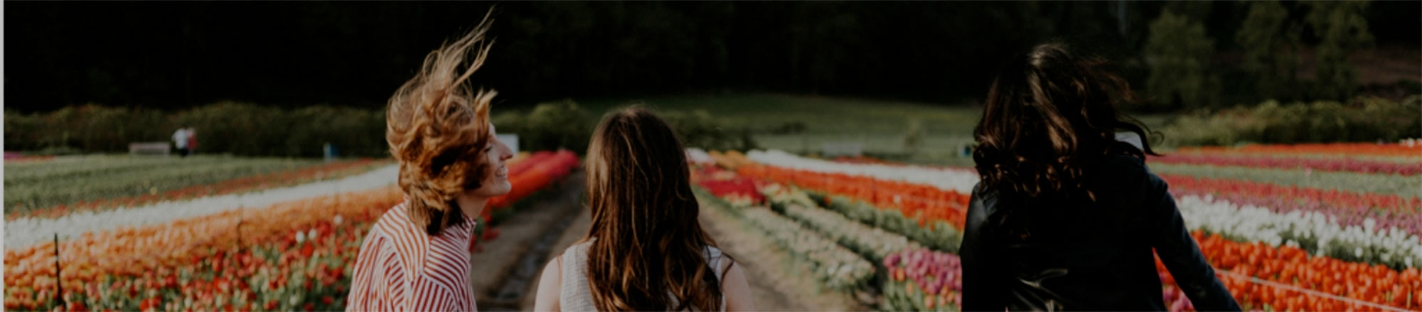 Image of walking through field