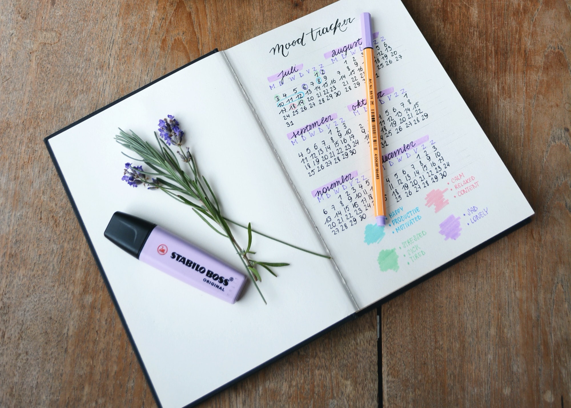 11 Bullet Journal Ideas to Keep You Writing and Drawing – Moonster