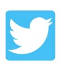 Twitter logo